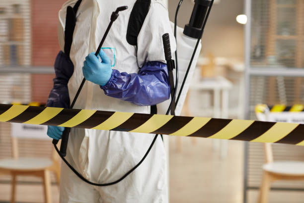 Professional Sewage Cleanup technician working in Hancocks Bridge, NJ